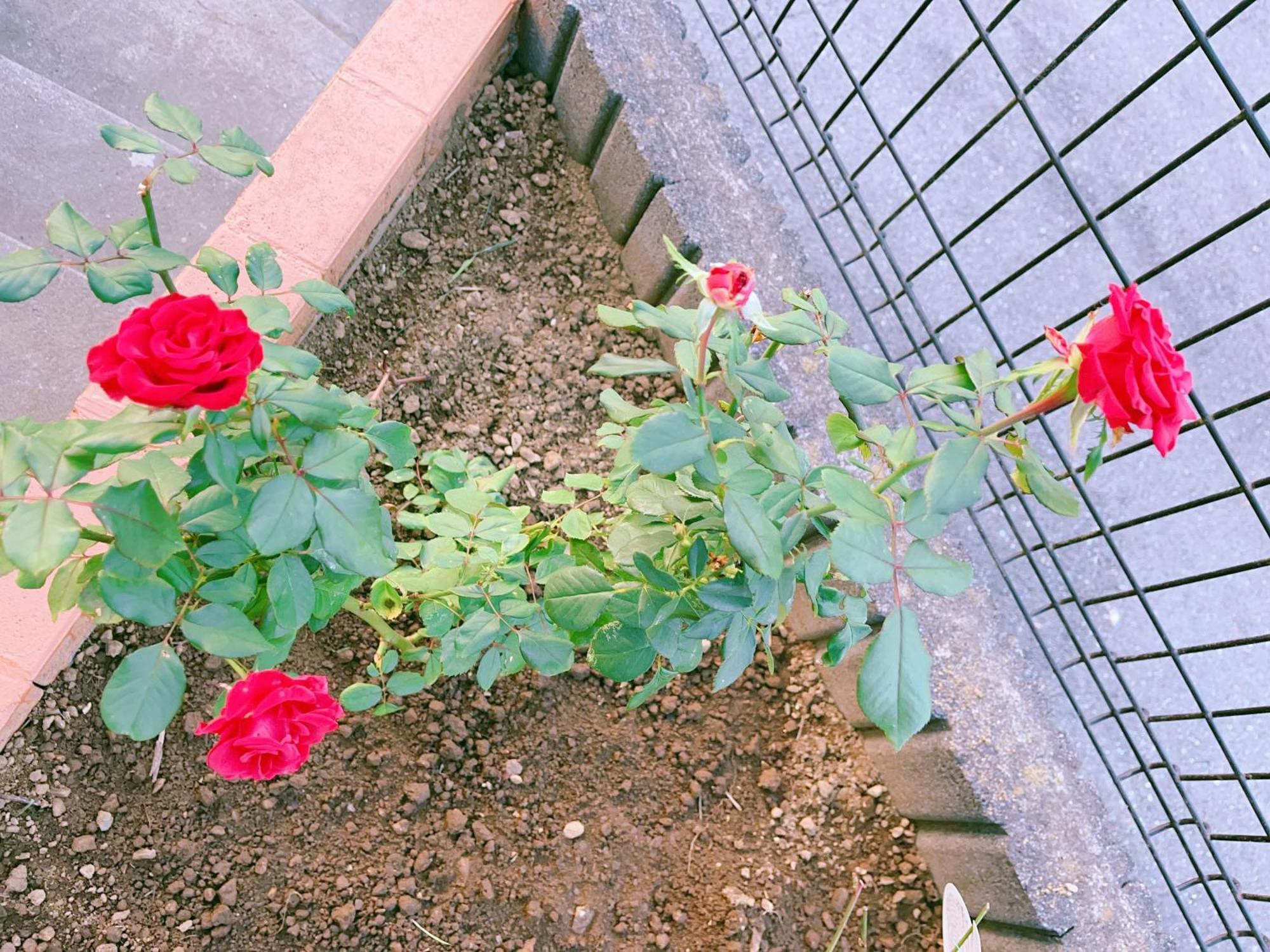 美山小屋-临近东京夏日乐园，高尾山，相模湖游乐园 Hachioji Ngoại thất bức ảnh